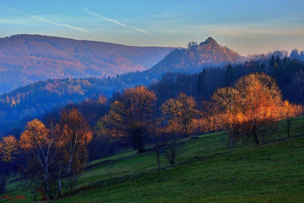 Apartment Tour Bohemian Switzerland Horni Podluzi Buitenkant foto
